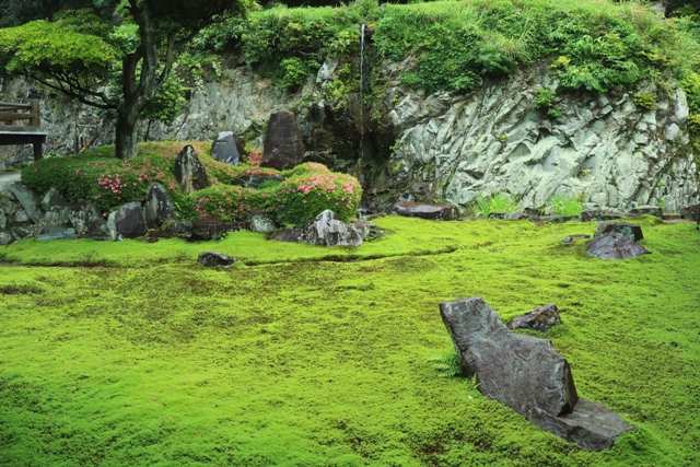 滝水の音だけが響く苔庭